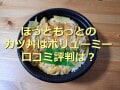 ほっともっとの「ロースかつ丼」はかつ特大で甘めのつゆがたっぷり！お得に食べる方法