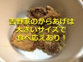 牛丼チェーン3社のからあげを比較！ランキング1位の吉野家は大きいサイズでお得感◎