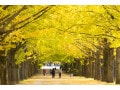 貯金が苦手でもこの方法なら貯まる！300万円貯金を目指す3つのヒント