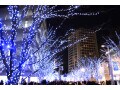 【2022年】12月に買ってはいけない優待銘柄は？