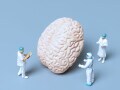 アミロイドβは「脳のゴミ」？この考え方が適切ではない理由