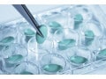 セボフルラン、エドキサバンの名前の由来は？ 数字が隠れた薬名