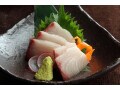 冬の魚に脂がのっているのはなぜか？寒ブリ・寒サバがおいしいワケ