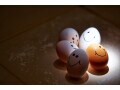 物価の王様・卵の値段が高騰！エッグショックの原因・対処法