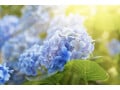 【最強開運日】金運を上げる！6月5日にやるといいこと