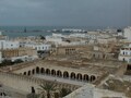 チュニジアでの経験が活きています！