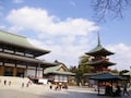 関東（東京、鎌倉以外）の寺と神社
