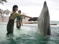 関西の水族館