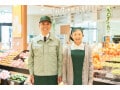 「65～69歳」の就業率と平均年収はどのくらい？