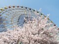 お花見も楽しめる全国の遊園地ベスト16【2017年】