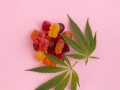 危険ドラッグ入り「大麻グミ」で搬送者続出…都内の祭参加者も被害