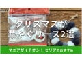 セリアのリース2種類を比較！手作りができる土台も買える◎作り方は？売り場はどこ？