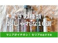 セリアのウォーターボトルおすすめ10選！耐熱、ウィリアムモリスも◎ダイソーと比較