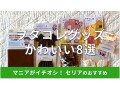 100均セリア「ヲタコレ」グッズおすすめ8選！おしゃれでかわいいぬい活コーデ服◎