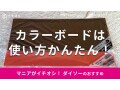 【100均】ダイソー「カラーボード」2色を比較！推し活やポップ、工作◎売り場は？