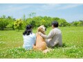 介護保険料の負担はいくらぐらいで、何歳まで支払うの？【2024年最新】