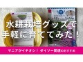 100均ダイソーの水耕栽培「スプラウトを育てる容器」で育ててみた！売り場はどこ？