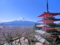 ビジネスホテル1泊3万円は本当に日本の常識？インバウンド二重価格で「日本はボッタクリ」と言われないために