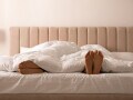 子どもを欲しがる夫、黙ってピルを飲む私。「30代は思い切り仕事しよう」と結婚したのに…