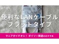 100均ダイソー「LANケーブル」はフラットタイプがおすすめ！管理かんたんでお得