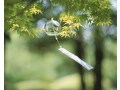 普通預金に合計2000万円ありますが。もっといい預け先はありますか？