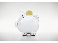 ネット定期1年ものに100万円を預け入れて、半年後に解約したら、利息はゼロになってしまいますか？
