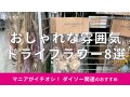 ダイソーの「ドライフラワー」はお得でかわいい！飾り方簡単な紐付き◎おしゃれな8選