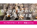 100均ダイソーの「インテリア雑貨」おしゃれな8選！置物、ディズニー柄もおすすめ
