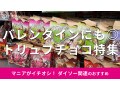 100均ダイソー「トリュフチョコ」はかわいい食感！個包装で渡しやすいおすすめ7選