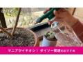 100均ダイソー「加圧式霧吹き（ペットボトル用）」は100円で優秀！ノズルの違い