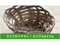 100均セリアの藤カゴ風「パームリーフバスケット」がかわいい！来客用にもおしゃれ