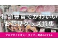100均ダイソーの「お花見グッズ」は種類豊富で100円から売ってる！おすすめ8選
