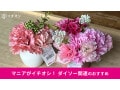 100均ダイソーは「母の日グッズ」は種類豊富！カーネーションがおしゃれでかわいい