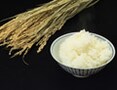 自由研究にも！わが家の自給率は何％？