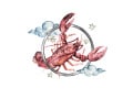 2025年4月21日～4月27日の運勢「かに座（蟹座）」 章月綾乃の【大人のための星占い】