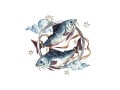 2025年4月28日～5月4日の運勢「うお座（魚座）」 章月綾乃の【大人のための星占い】