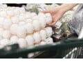 世帯年収610万円「卵が高すぎて、週1回の購入はムリ」 27歳パート女性のインフレへの向き合い方
