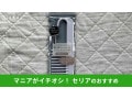 【セリア】「トリートメントコーム」はお風呂でおすすめ！乾燥、保管◎使い方かんたん