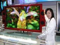 後悔しない液晶TV選び 画質チェックのツボ