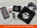 【キャンドゥ】「新商品」は秋に持ちたいおしゃれ感♪おすすめ8種類レビューと探し方