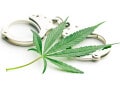 大麻所持で人気俳優が逮捕！ 「大麻取締法違反」ではなく「麻薬取締法違反」なのはナゼ？
