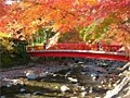 伊豆の気候・祭り・イベント