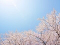 春の金運アップ術！「あと1万円足りない」ではなく「あと1万円あれば大丈夫」と考えよう