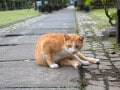50万円を10年預けると利息はいくら？長期で増やす10年定期預金を銀行別に比較