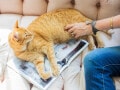 一生貧乏な人は「人のせい」にする？ お金が貯まる人との決定的な違い