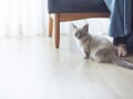 一生貧乏な人は「他人と比べる」？ お金が貯まる人との決定的な違い