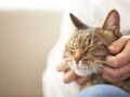 一生貧乏な人は「お金がないと始められない」と考える？ お金が貯まる人との決定的な違い