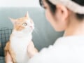 7年前からの積立は＋123万円「飼い猫のために使った。あとは老後資金に」年収300万円・48歳女性のNISA