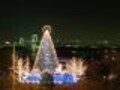 クリスマスシーズン本番！　デジカメで見るお台場ツリー情報
