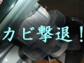 カビ撃退！住まいのお手入れ大作戦！